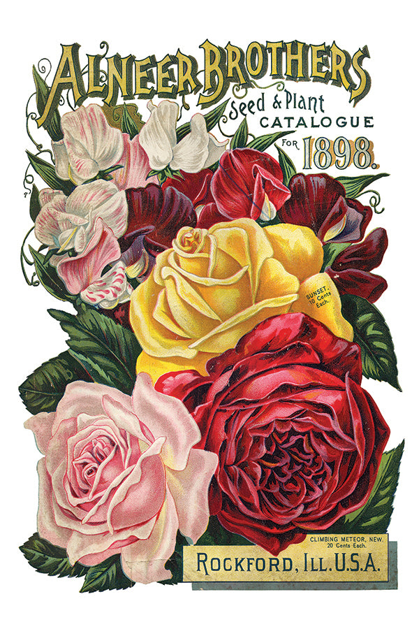 Seed Catalogue Transfer by Iron Orchid Designs IOD