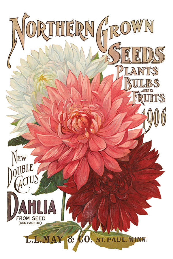 Seed Catalogue Transfer by Iron Orchid Designs IOD