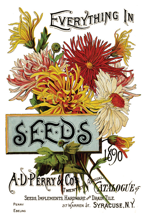 Seed Catalogue Transfer by Iron Orchid Designs IOD