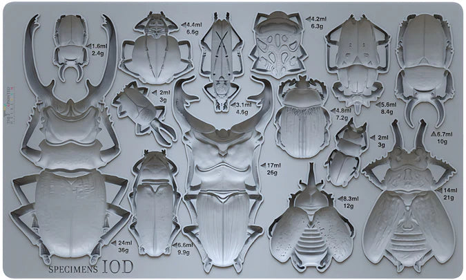 Specimens Mould by Iron Orchid Designs IOD