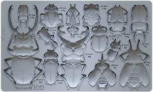 Specimens Mould by Iron Orchid Designs IOD