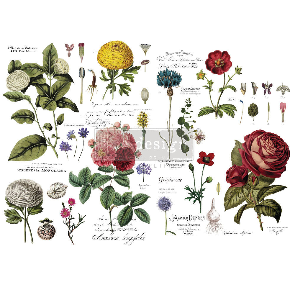 Vintage Botanical Transfer by Redesign with Prima