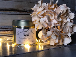 Soy Candle - Lemongrass & Ginger