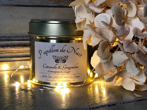 Soy Candle - Lemongrass & Ginger