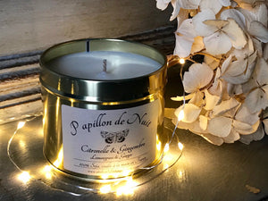 Soy Candle - Lemongrass & Ginger