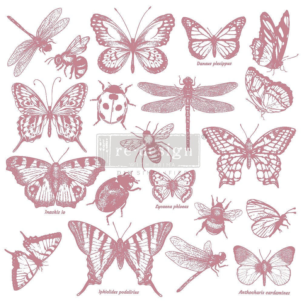 Decorative Stamp, Monarch Collection, Redesign with Prima