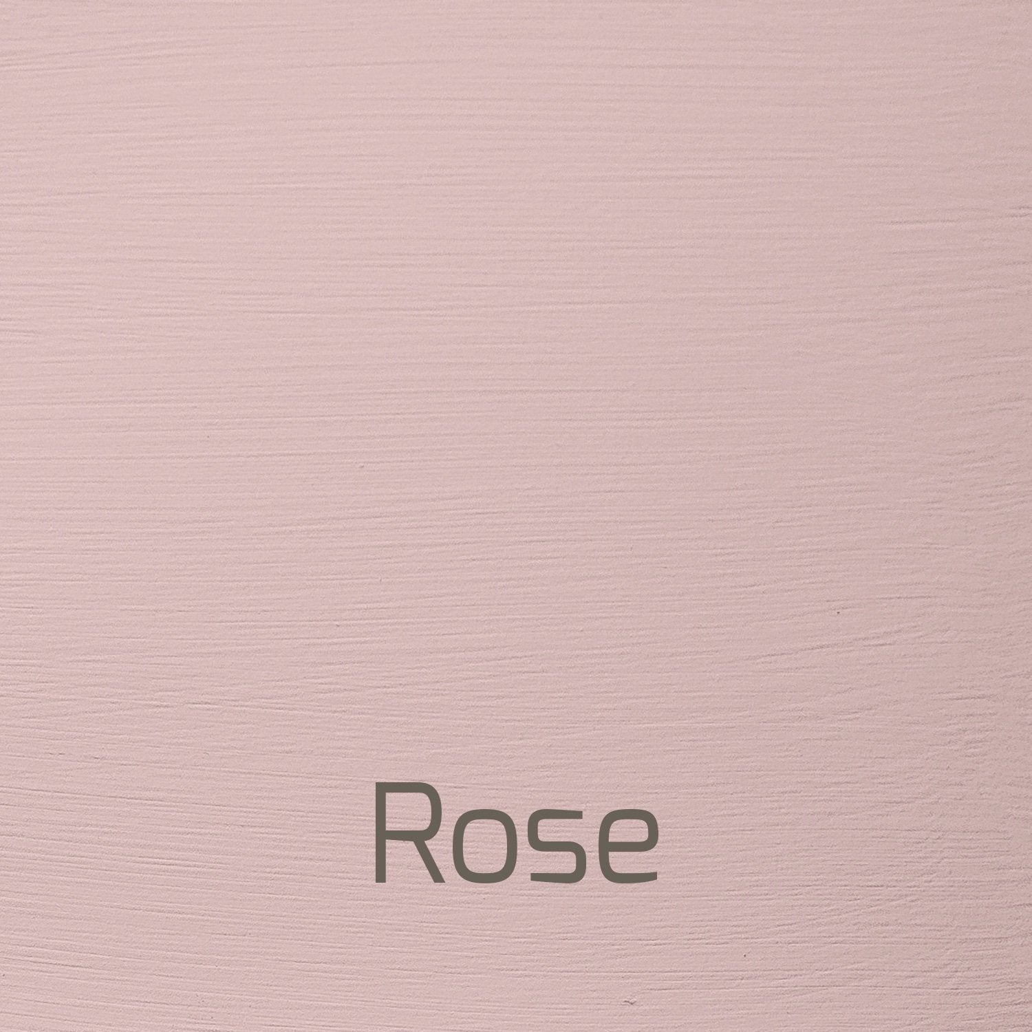 Rose - Vintage-Vintage-Autentico Paint Online