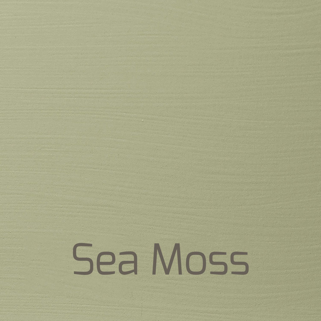 Sea Moss - Vintage-Vintage-Autentico Paint Online