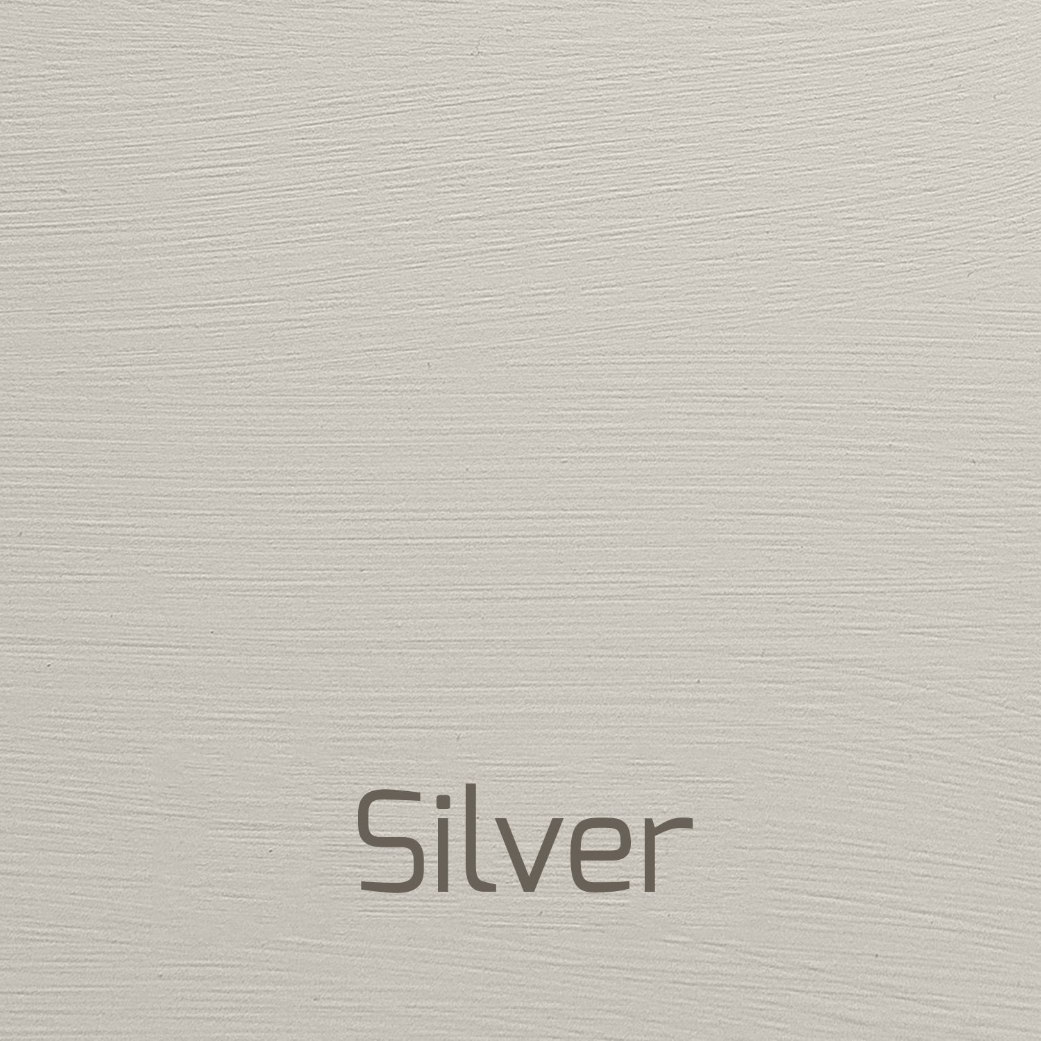 Silver - Vintage-Vintage-Autentico Paint Online