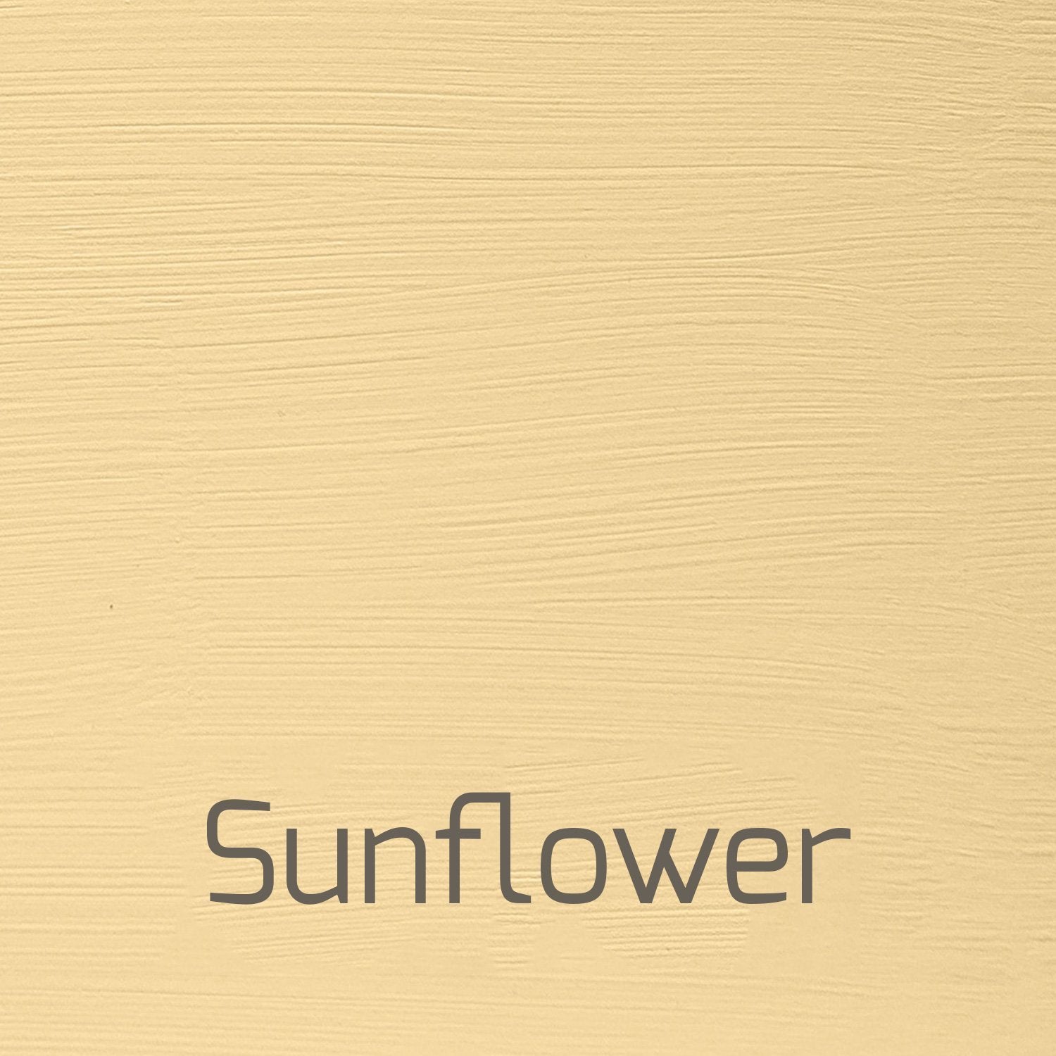 Sunflower - Vintage-Vintage-Autentico Paint Online